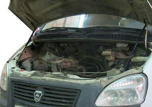 Упоры капота «Автоупор» для GAZel Biznes 2003- Упоры капота «Автоупор» для GAZel Biznes 2003-