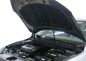 Упоры капота «Автоупор» для Hyundai Elantra 2016-