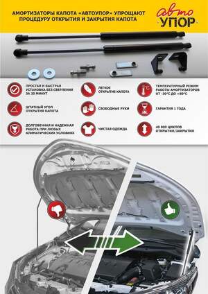 Упоры капота «Автоупор» для Renault Sandero StepWay 2009-