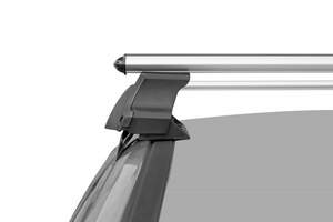 (а) Багажная система D-LUX креп.за двер.проемы с поперечинами аэро-классик (53мм)