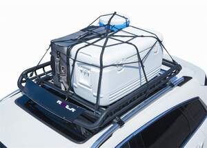 Сетка эластичная, ленты - стропы с крючками 91х121см (36"x48")